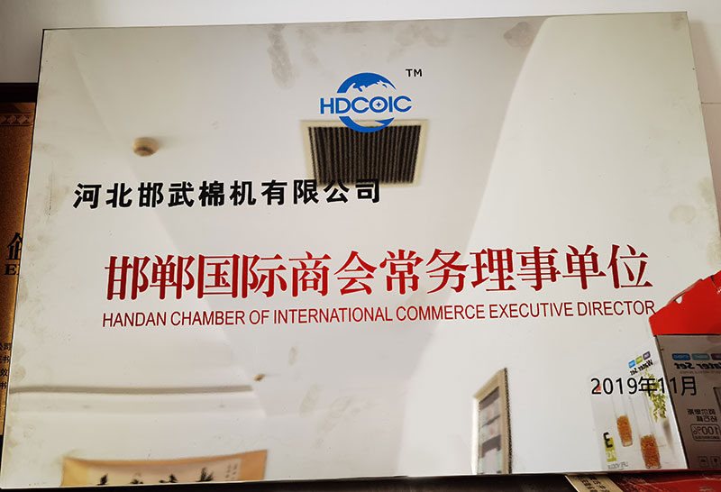 HANDAN CHAMBER OF INTERNATIONAL COMMERCE EXECUTIVE DIRECTOR